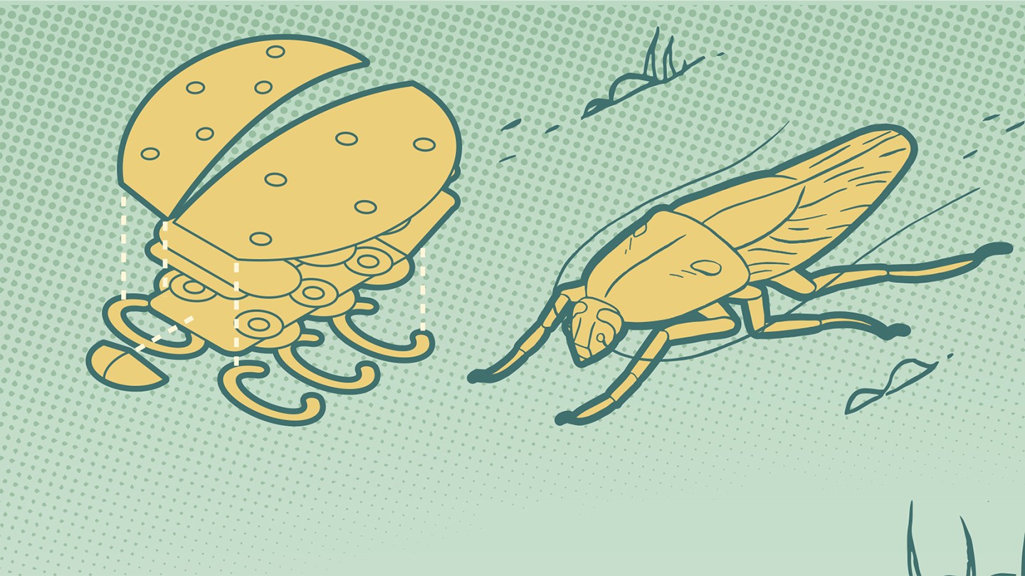 Illustration of a robot and cockroach Illustration of a robot and cockroach