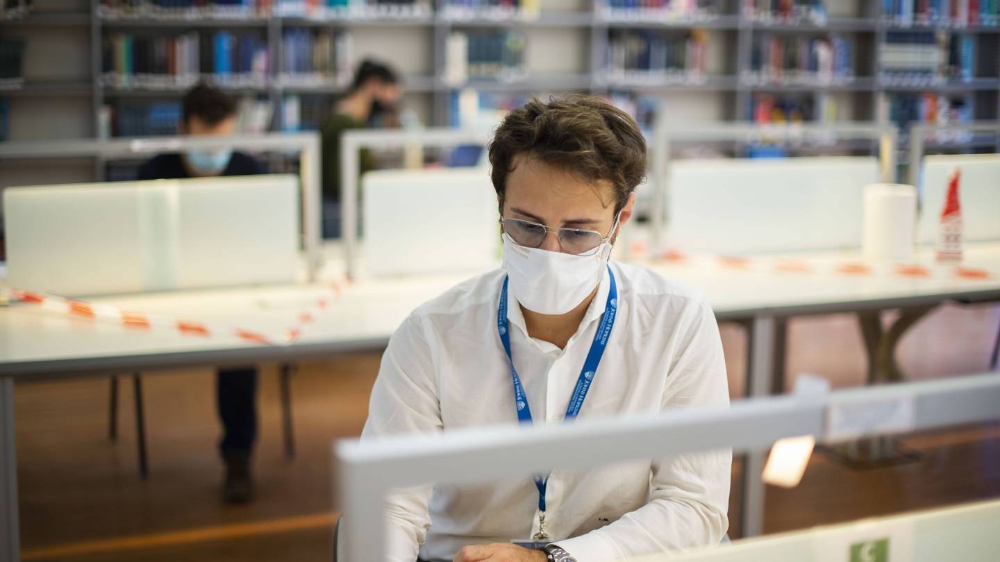 A student works in the library at SAIS Bologna