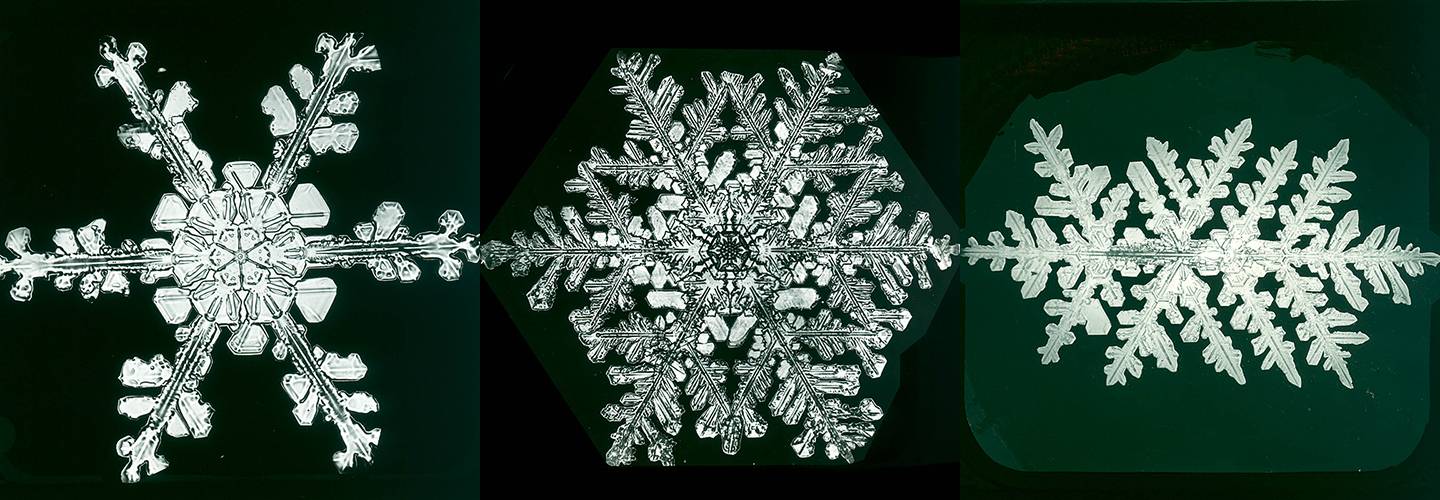 Is it true that no two snowflakes are identical?