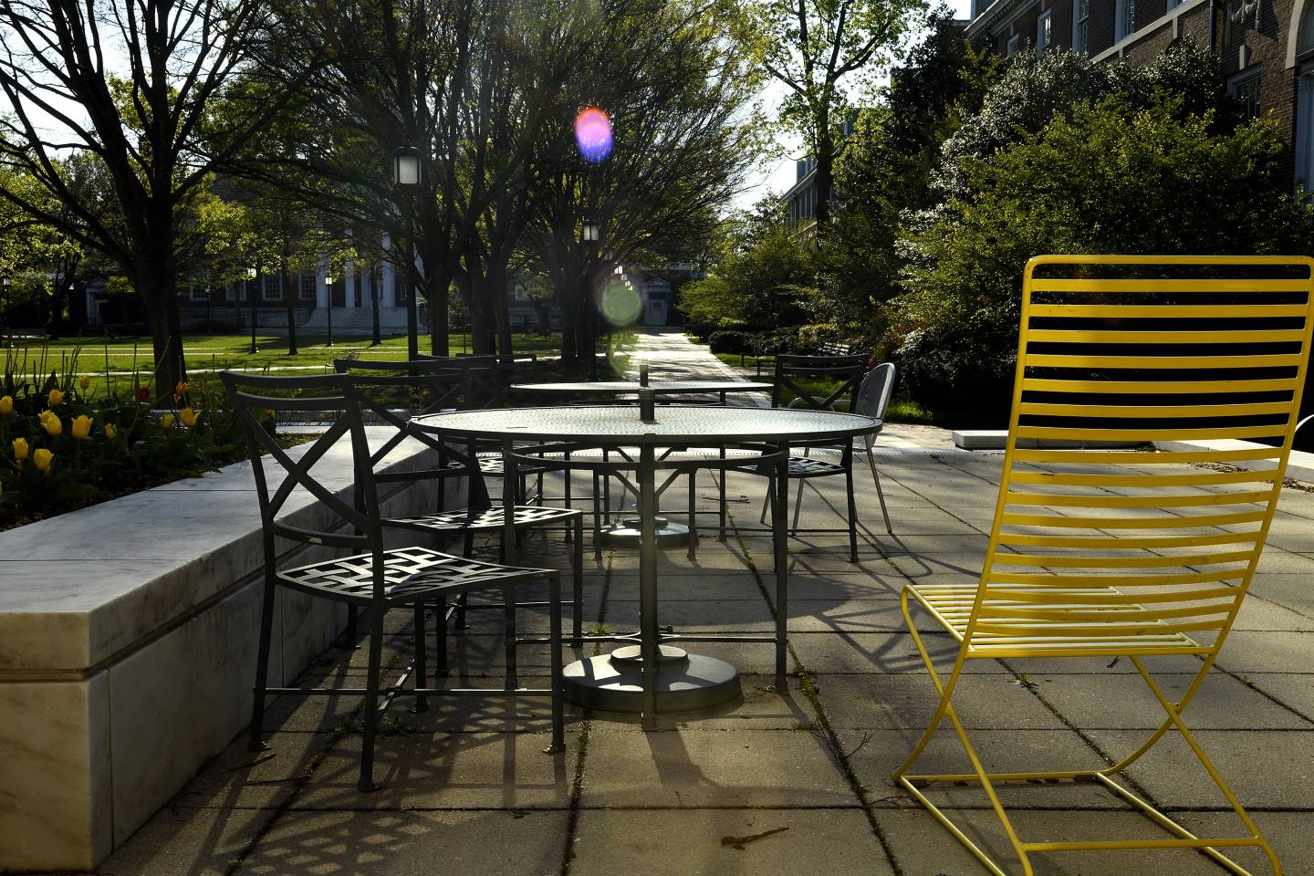 Empty Homewood campus in the summer