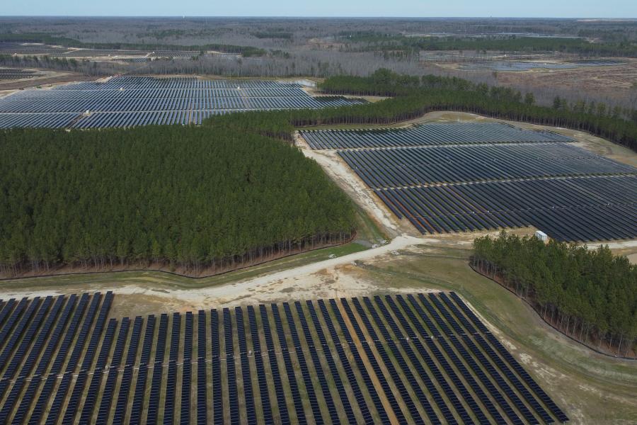 An aerial photograph of a field of solar panels flanked by wooded areas