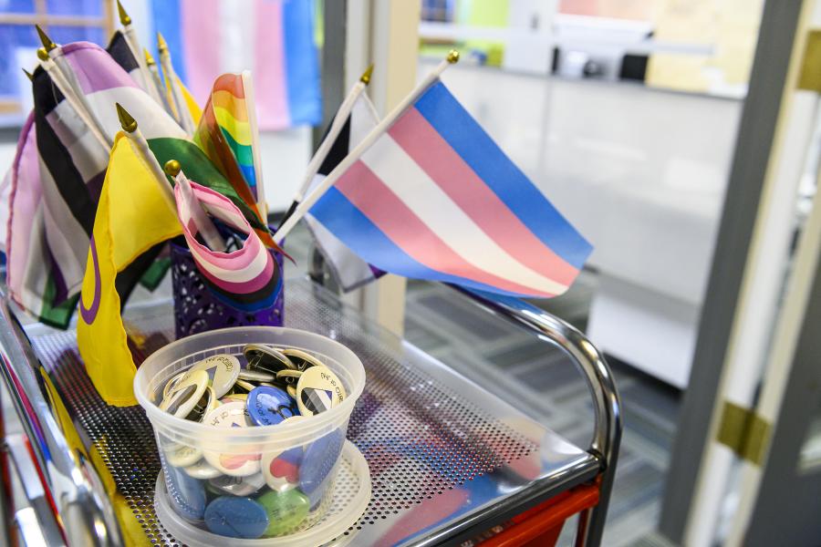 A small transgender flag in a cup of other LGBTQ+ flags