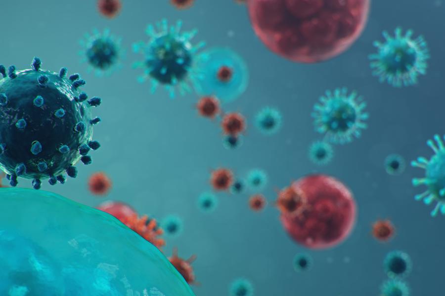 Computer illustration of coronaviruses