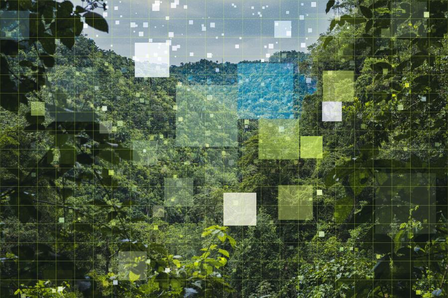 A forest with pixels