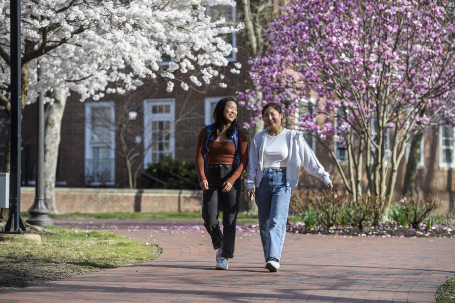 Two people walking