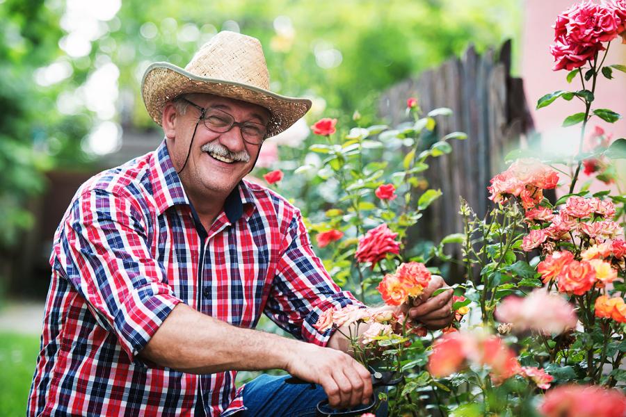 A smiling retirement-age man works in his flower garden. He is wearing a straw hat and a plaid shirt with the sleeves rolled above his elbows.