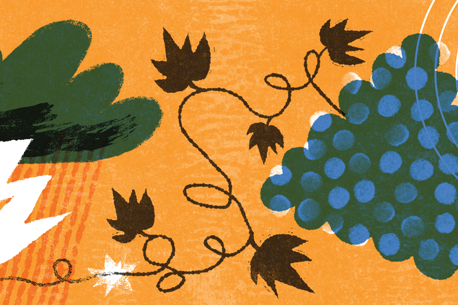Illustration of a bunch of grapes next to a beaming sun and a thunderstorm cloud
