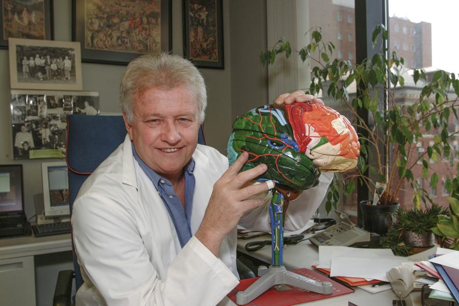 A person holding a model of a brain