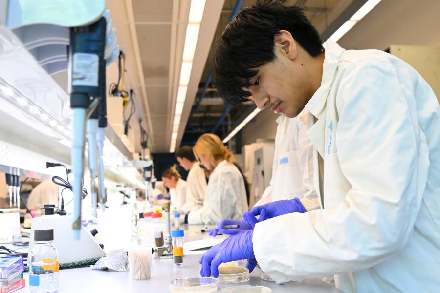A group of students in white lab coats and purple gloves works at a lab bench