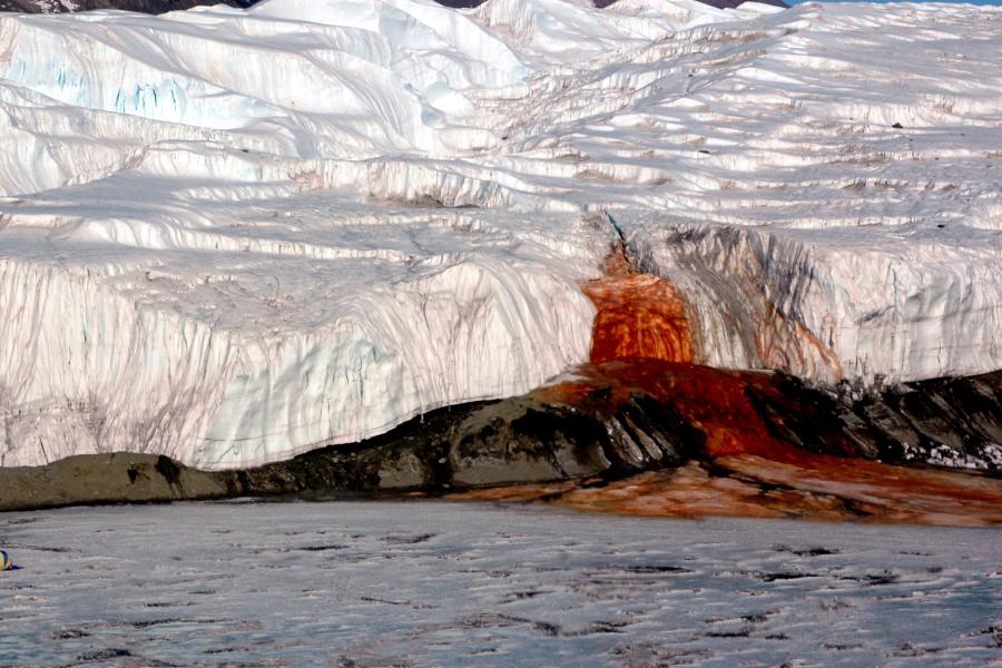  Blood Falls seeps from the end of the Taylor Glacier into Lake Bonney