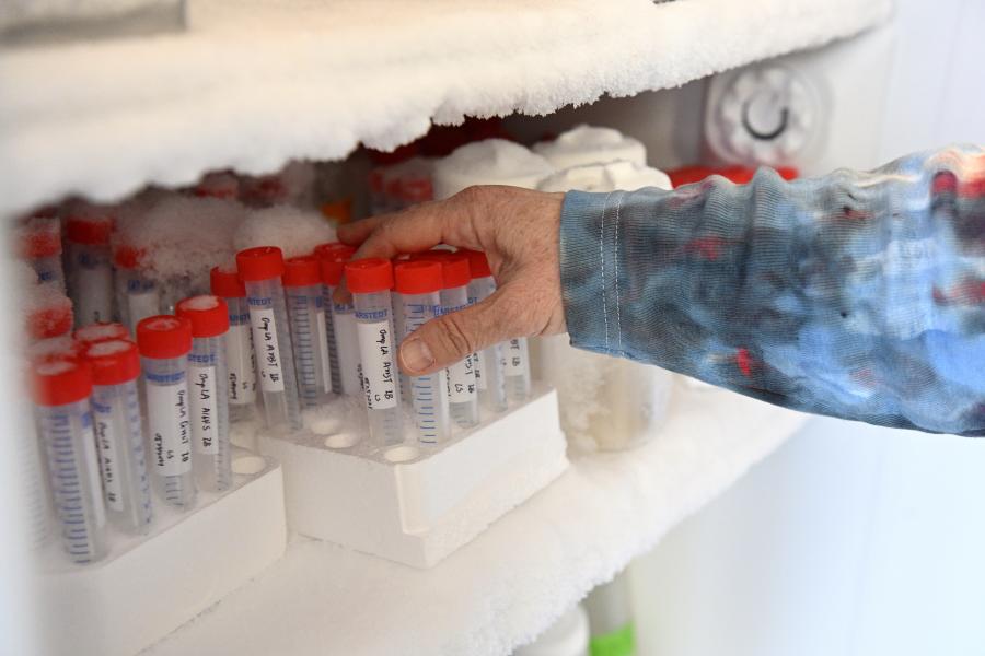 A hand reaches into a freezer to pull out a lab sample in a tube.