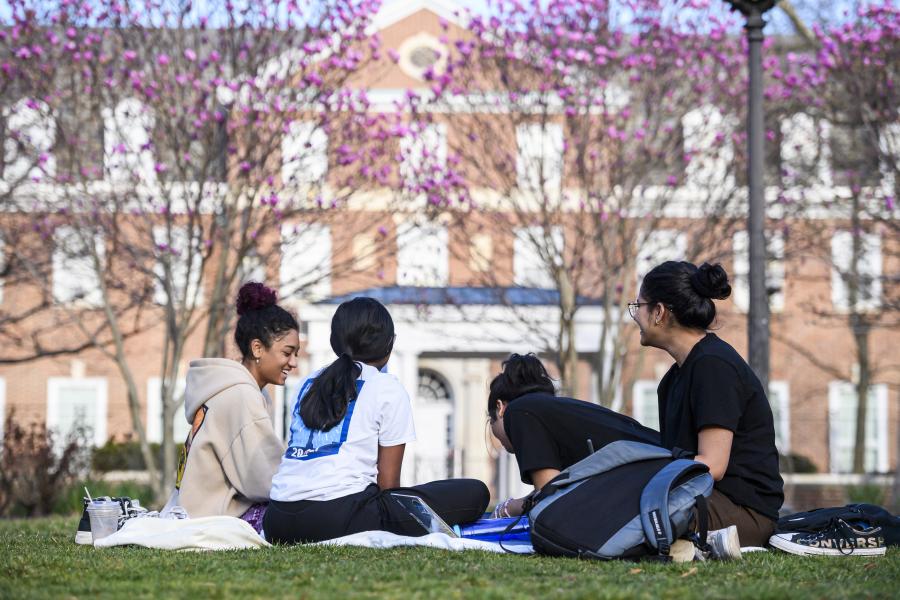 Four students sit on a picnic blanket. Behind them, pink blossoms begin to bloom on trees.