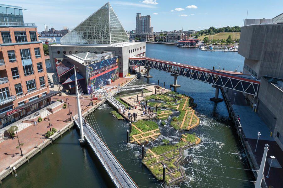 Aerial photograph of the Inner Harbor in Baltimore, MD, showcasing the Harbor Wetland, which consists of grasses that float on the water's surface