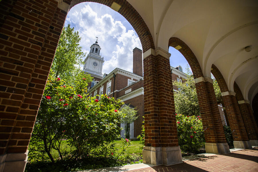An angled view of the Gilman Hall clock tower on a sunny spring day with flowering bushes in the foreground