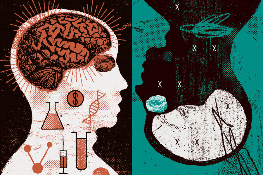 An illustration giving a glimpse inside two heads. One, along with a brain, has dollar signs, test tubes, syringes, and DNA strands. The other, which is upside down, just has X's and a cavity where the brains should be.