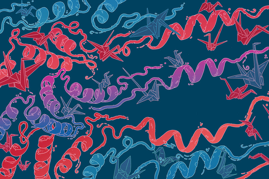 Protein folding illustration