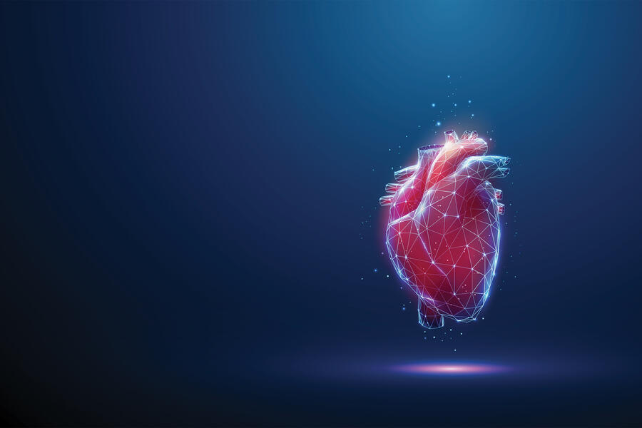 Abstract low poly red human heart