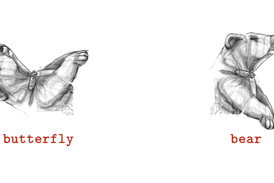 A black and white visual anagram of a butterfly and a bear in gif form