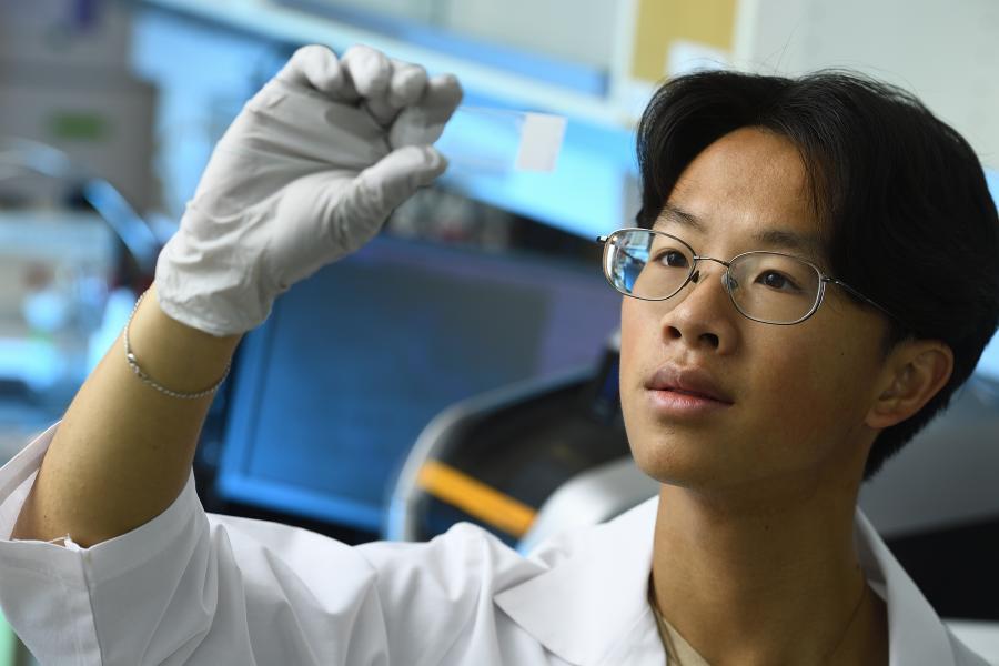 A lab researcher holds up a slide to look through it.
