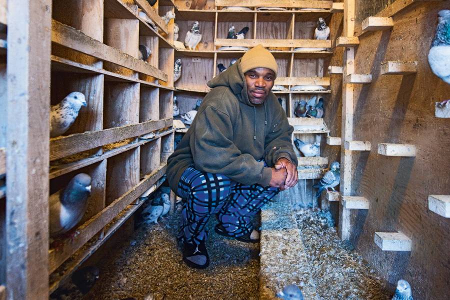 A man in a pigeon coop