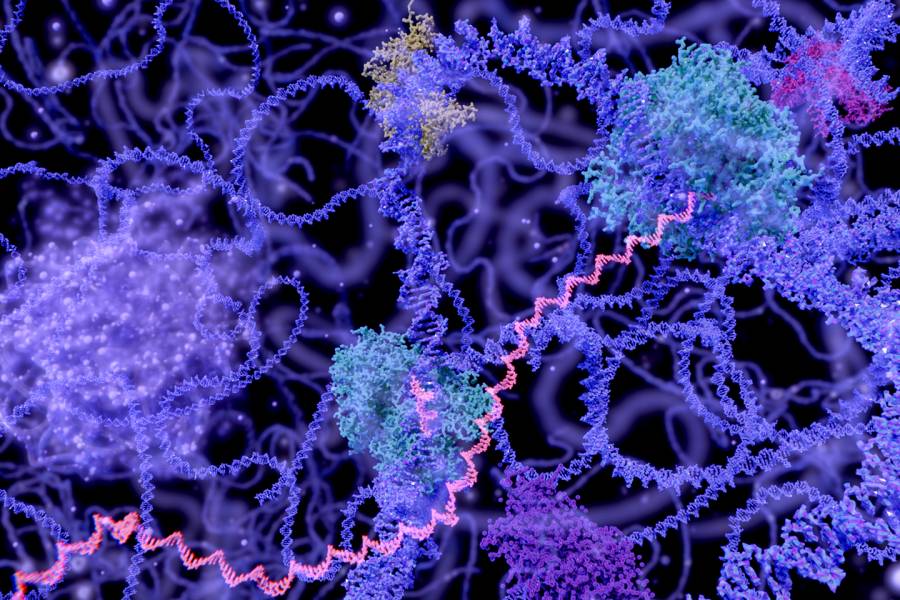 Illustration of tangled RNA strands