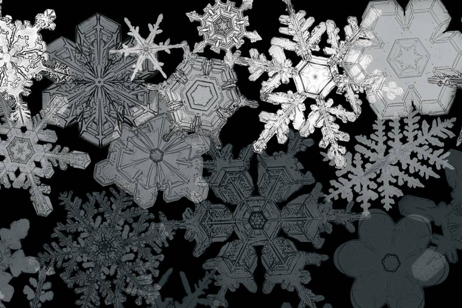 Images of snow crystals