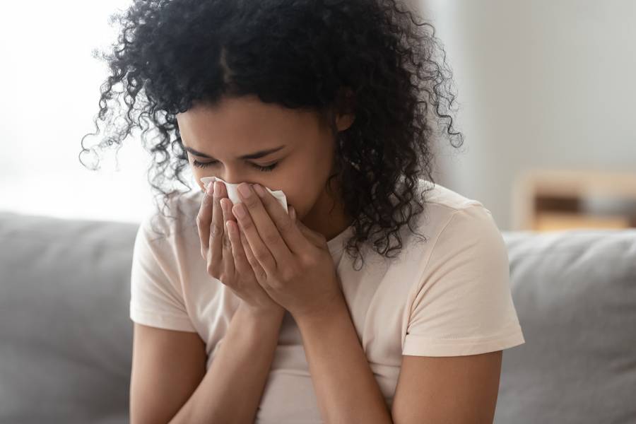 Dust mite insights may lead to tools to fight against allergies and