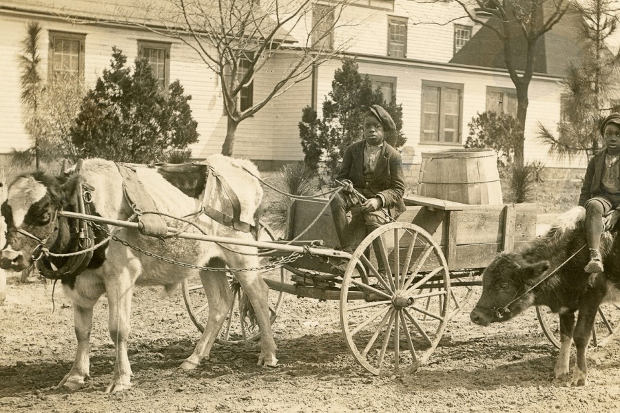 Sepia photo of two young black boys sitting on mules/horses that are connected to carriages