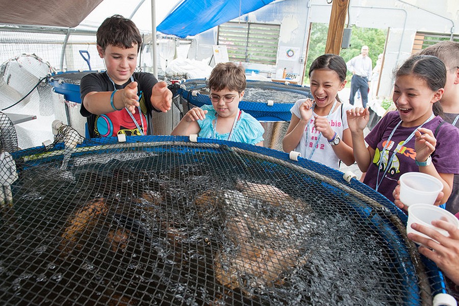 Children gather around a pool of fish in the Food System Lab