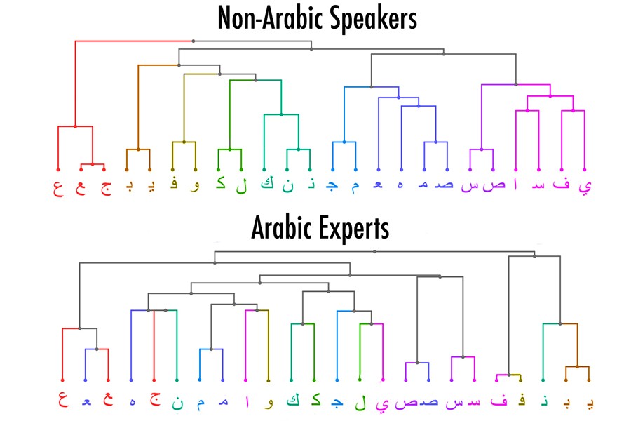 Graphic illustrating difference in identifying letters between Arabic experts and non-experts
