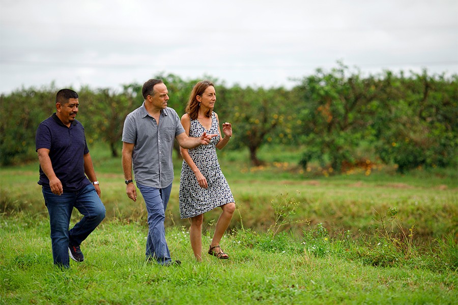 Greg Asbed (center), Lucas Benitez (left), and Laura Germino walk in a field with rows of fruit trees in the background