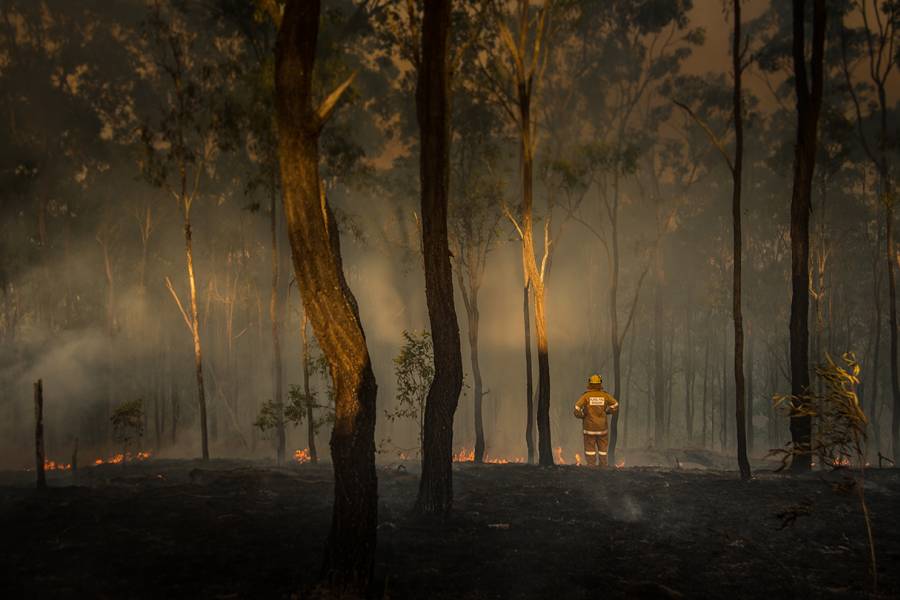 Firefighter surveys damage from fire in Queensland, Australia