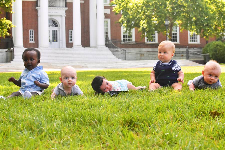 Five babies in the grass