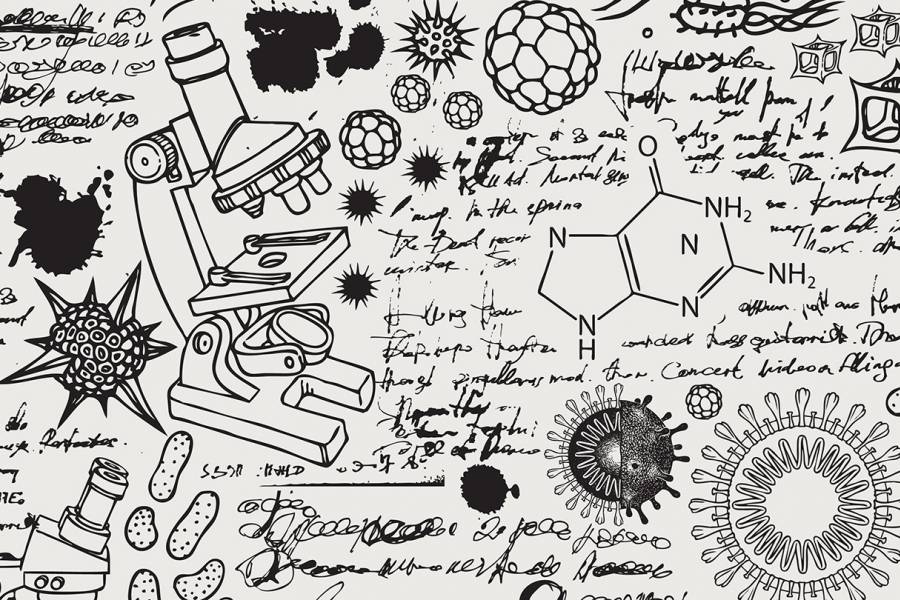 Scientific doodles