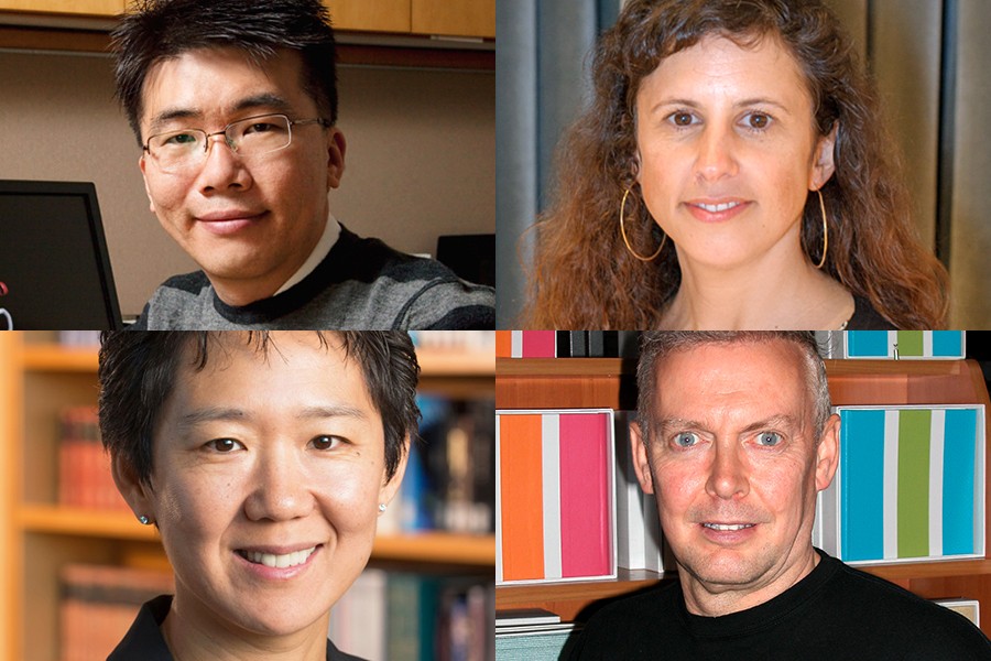 Four new Johns Hopkins Bloomberg Distinguished Professors