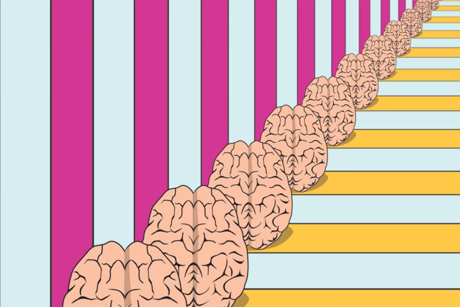 Several brains in a line, each one getting smaller and smaller