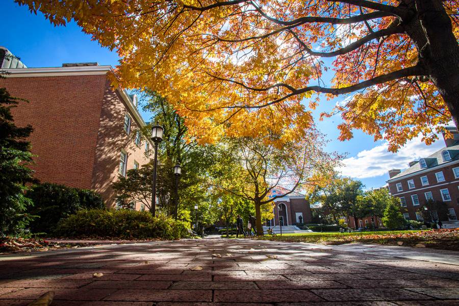 Sunlight is filtered through the yellow and orange fall foliage of a large tree next to a brick walkway on Johns Hopkins University's Homewood campus; brick academic buildings are visible in the backgroun