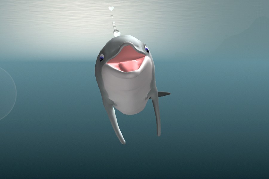 Bandit the (animated) dolphin
