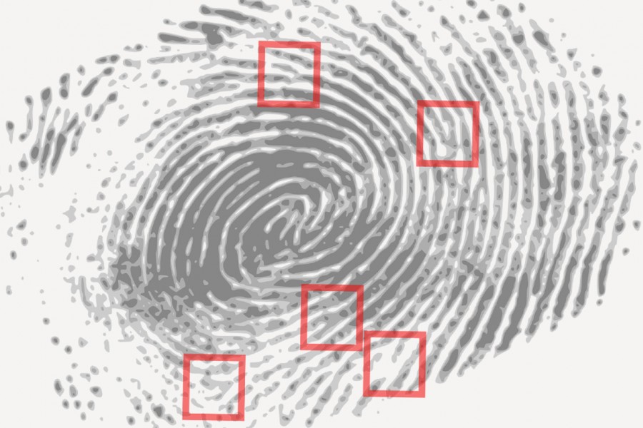 Close-up of fingerprint pattern with small red boxes around key characteristics