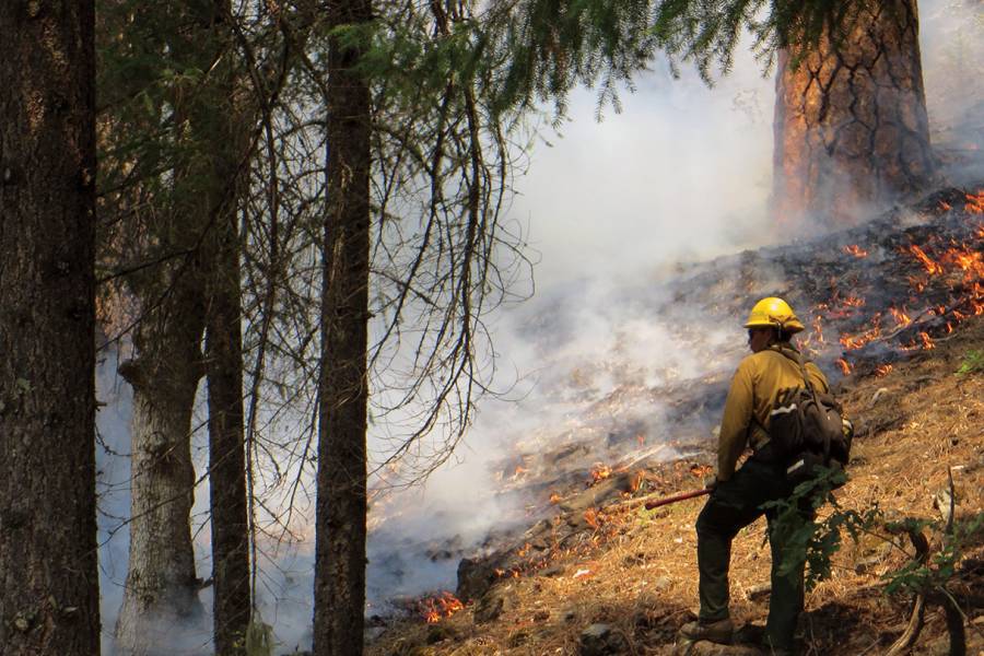 A fire fighter battles a forest fire