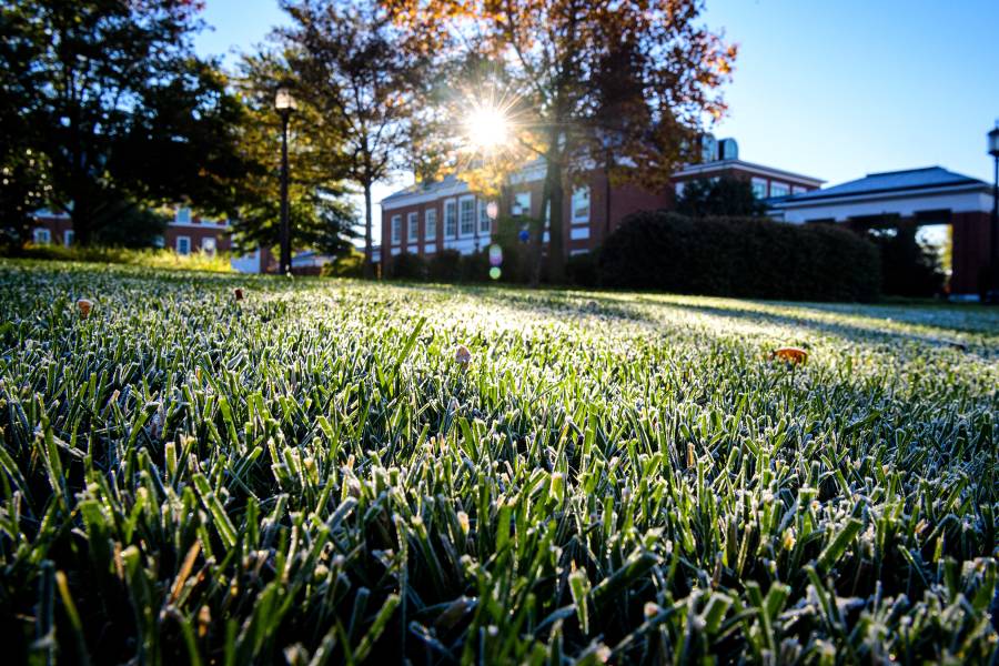 Sun rises over a brick campus building; frost on grass in foreground