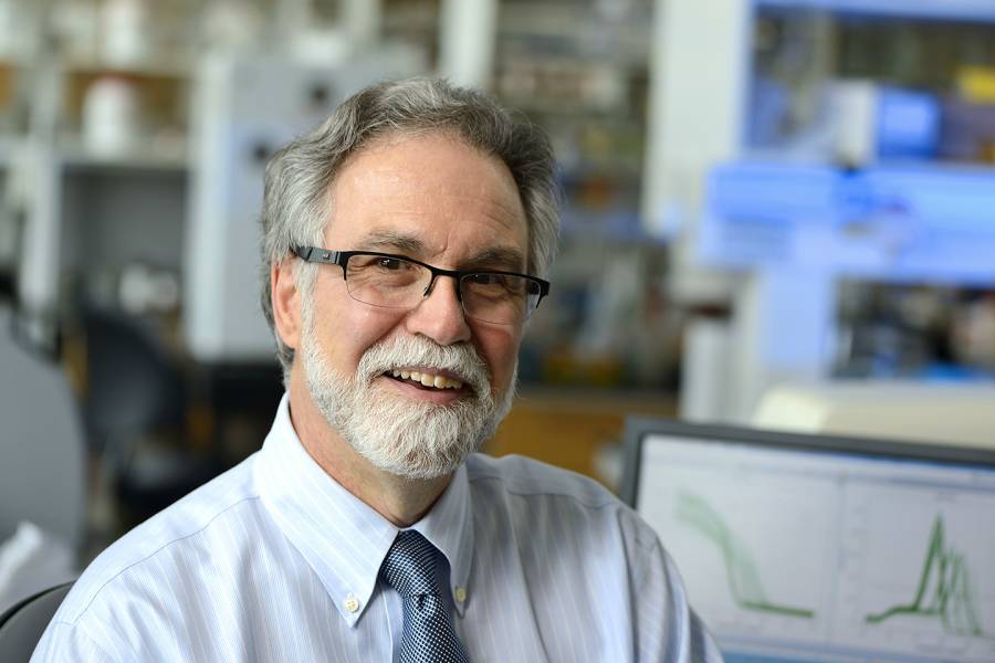 Newswise: Gregg Semenza Wins 2019 Nobel Prize in Physiology or Medicine For Hypoxia Discovery