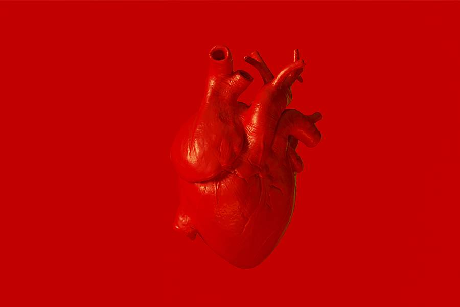 Red anatomical heart on a red background
