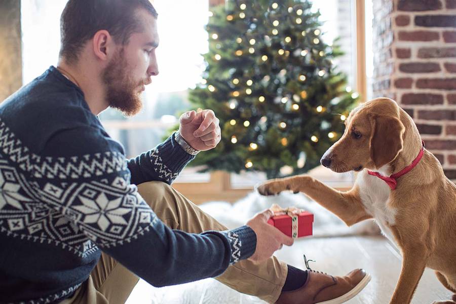 Young man and his dog playing on floor with Christmas tree in background. He is giving a small gift box to the dog, who is wearing bow tie.