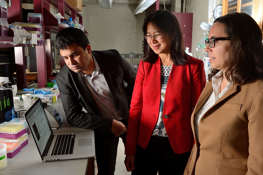 David Gracias, Vicky Nguyen, and Rebecca Schulman examine results on a computer screen