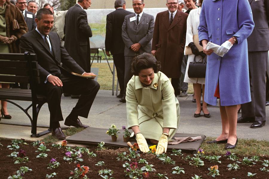 Lady Bird Johnson plants pansies as Interior Secretary Stewart Udall and others look on.