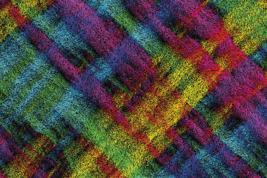 Particles in bright colors form a tartan pattern
