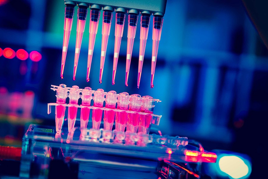 Eight pipettes drop pink liquid into test tubes