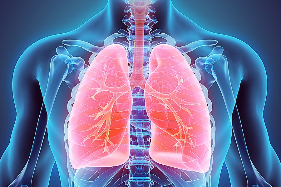 Illustration of respiratory system