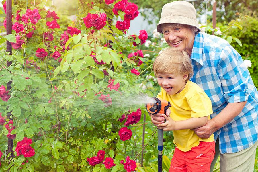 Grandparent and young child watering flowers